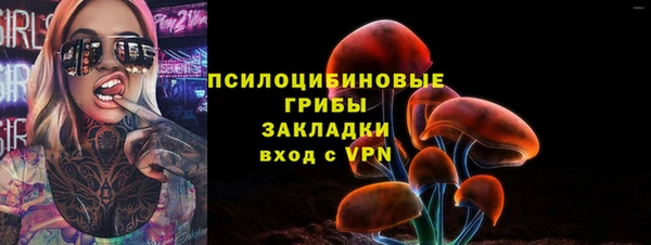 бутират Переславль-Залесский