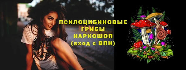 бутират Переславль-Залесский