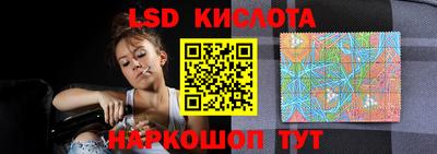 сатива Славгород