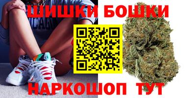 сатива Славгород