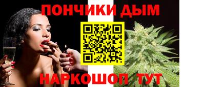сатива Славгород