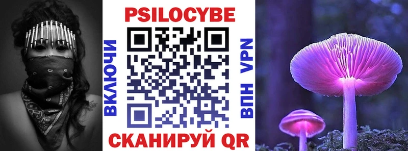 наркотики  Сердобск  Псилоцибиновые грибы прущие грибы 