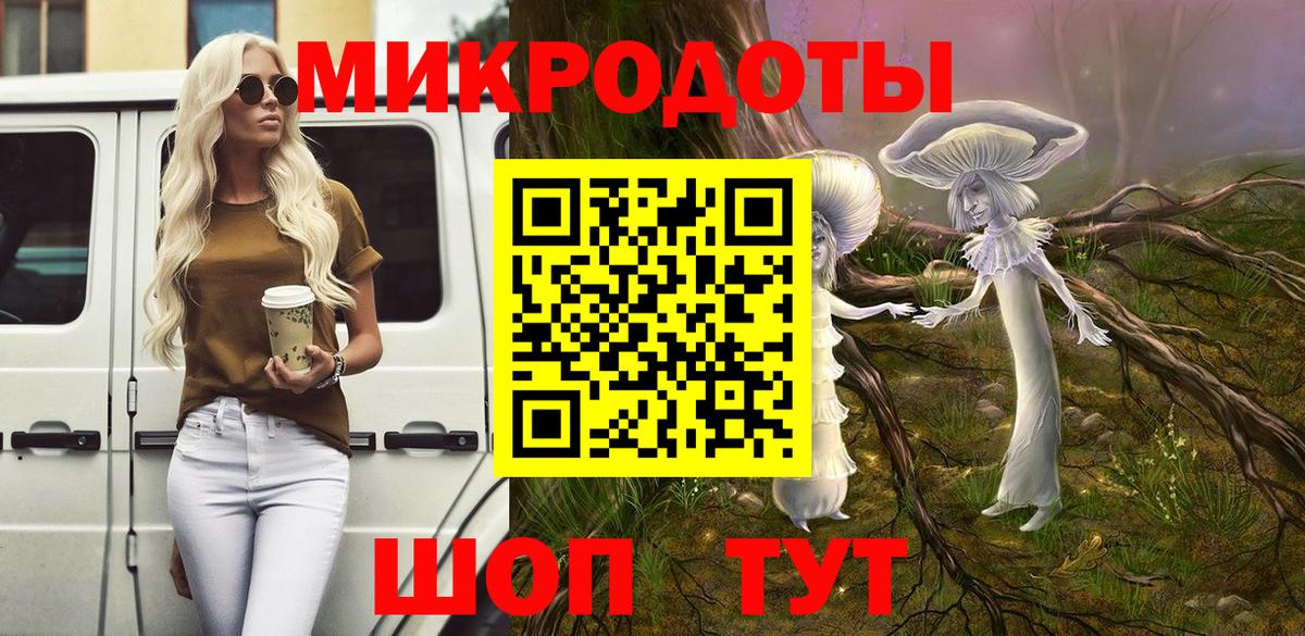 Псилоцибиновые грибы Psilocybe Сердобск