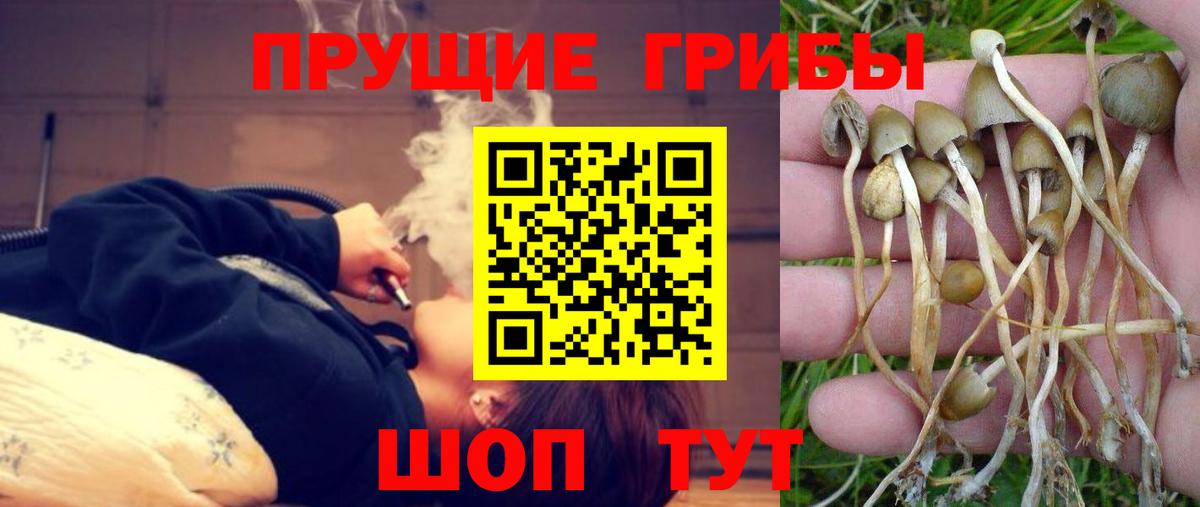 Сердобск  Галлюциногенные грибы ЛСД  Вход с VPN 